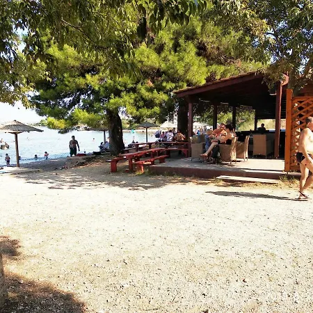 Mare Croazia - - Put Ploca 22 - Sea Croatia Ζαντάρ